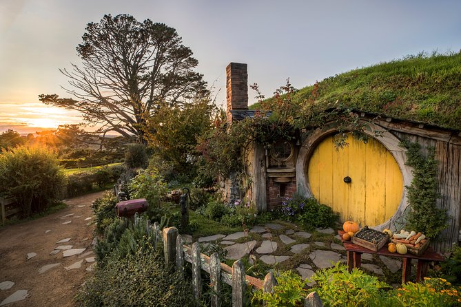 Hobbiton & Waitomo Caves Guided Tour from Auckland with Lunch - Waitomo’s glowworms and limestone caves