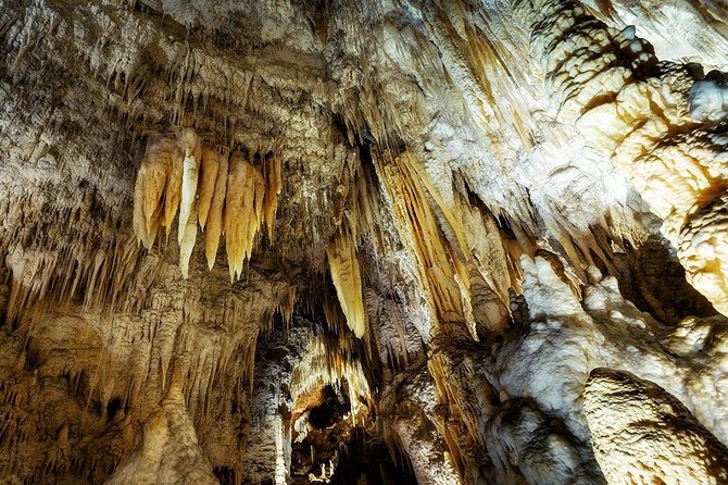 Hobbiton & Waitomo Caves Small Group Tour from Auckland inc Lunch - Lunch in Otorohanga keeps the afternoon moving
