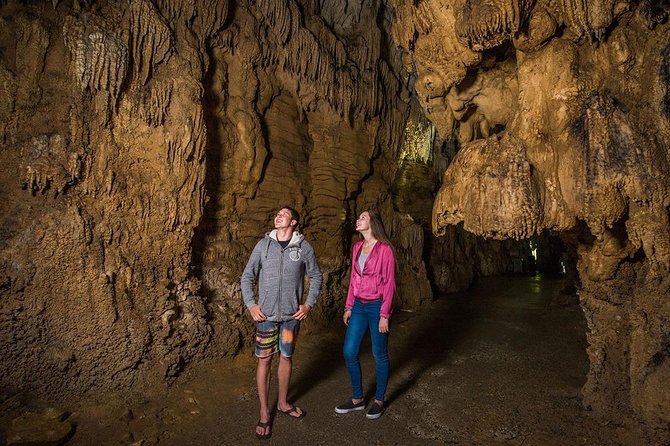 Hobbiton & Waitomo Caves Small Group Tour from Auckland inc Lunch - Is $235.20 good value?