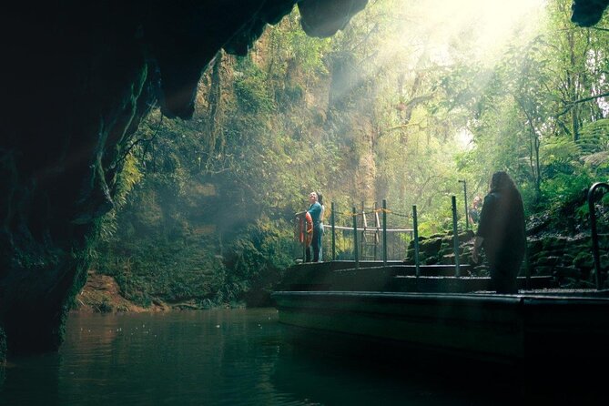Hobbiton & Waitomo Caves Small-Group Tour W Lunch from Auckland - The ride back to Auckland
