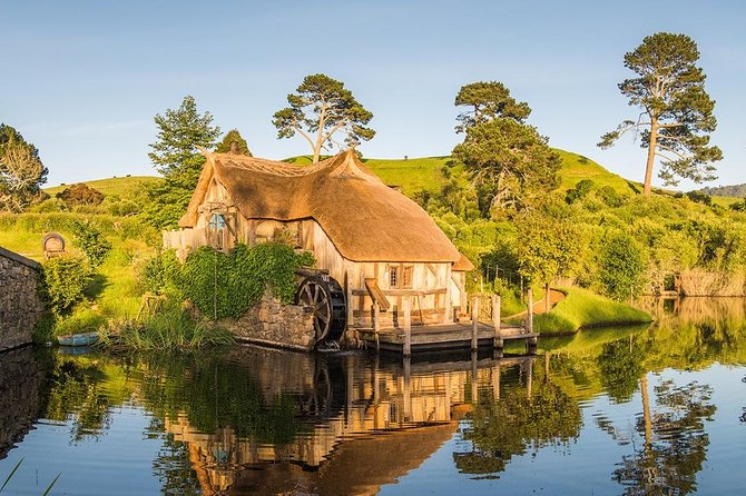 Hobbiton & Waitomo Caves Small-Group Tour W Lunch from Auckland - How the $235.20 price measures up