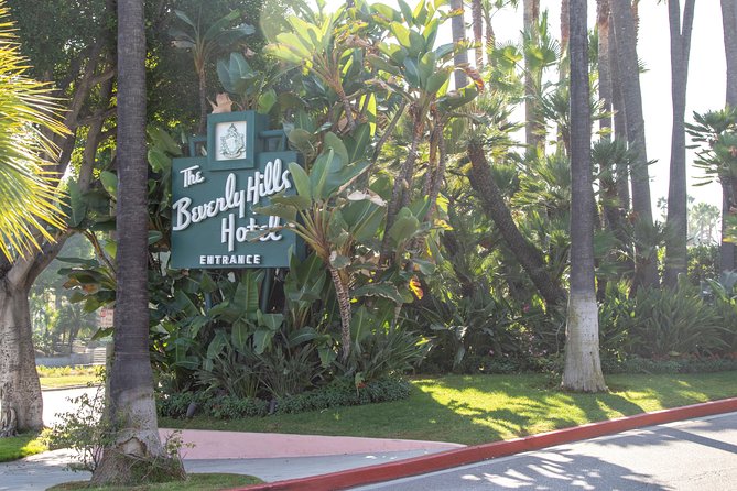 Hollywood Open Bus Tours - Chasing views of the Hollywood Sign