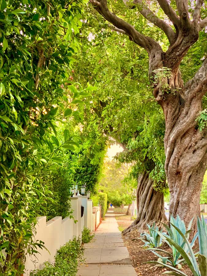 Hollywood Walking & Hiking Sunset Tour with LA Skyline Views - Booking, cancellation, and timing