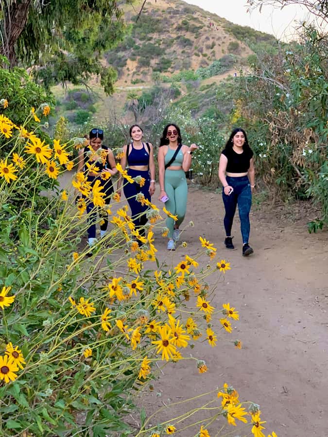 Hollywood Walking & Hiking Sunset Tour with LA Skyline Views - The move from sidewalks to Runyon Canyon