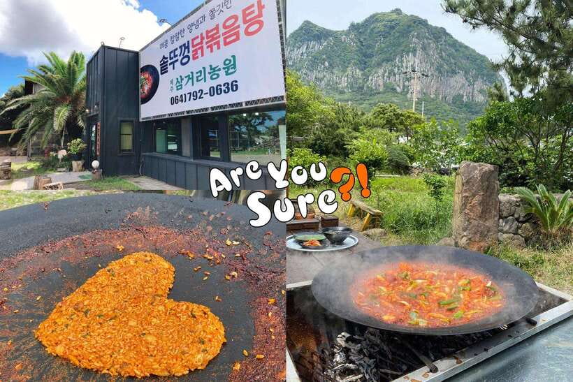 Jeju: BTS Are You Sure?! Filming Locations Private Taxi Tour - Why a private car makes sense on Jeju