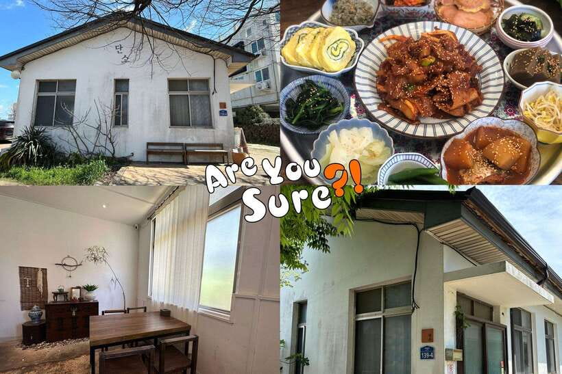 Jeju: BTS Are You Sure?! Filming Locations Private Taxi Tour - The real value of $228 for up to four