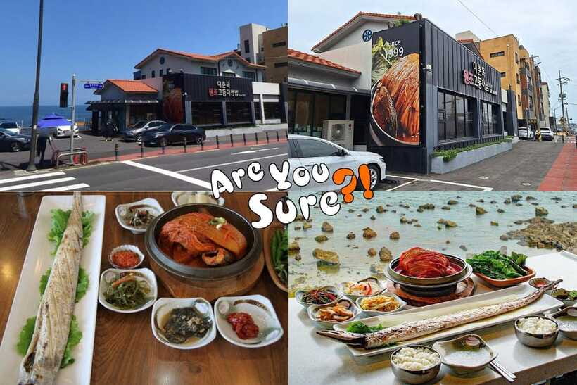 Jeju: BTS Are You Sure?! Filming Locations Private Taxi Tour - How to choose between five and eight hours