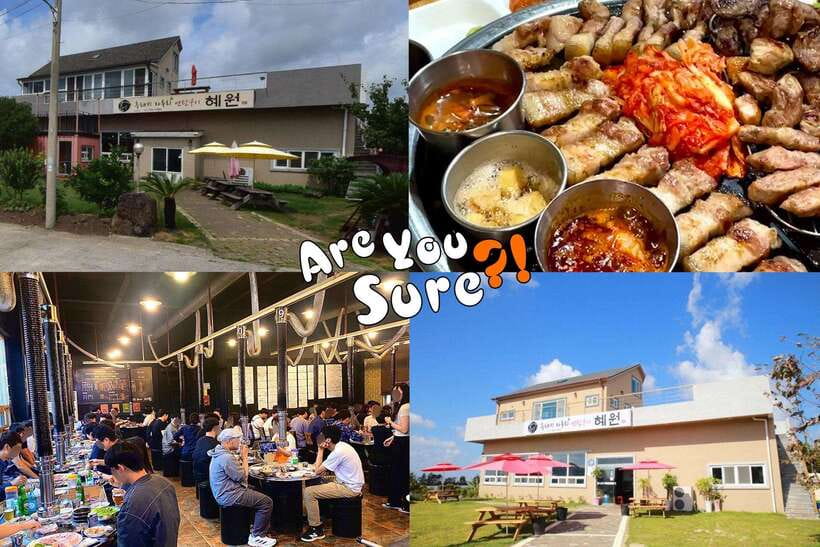 Jeju: BTS Are You Sure?! Filming Locations Private Taxi Tour - Who should book this Jeju experience