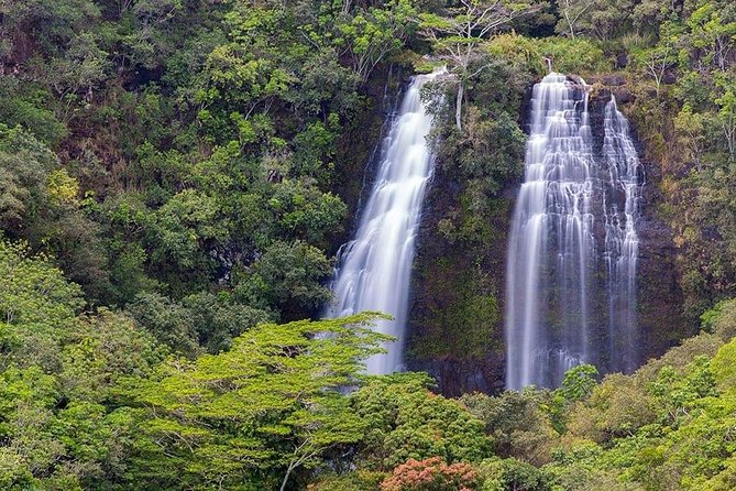 Kauai Highlights & Movie Sites - Kilauea Point brings wide ocean views
