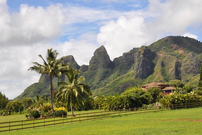 Kauai: Highlights & Movie Sites - Opaeka‘a Falls starts the day with a big view