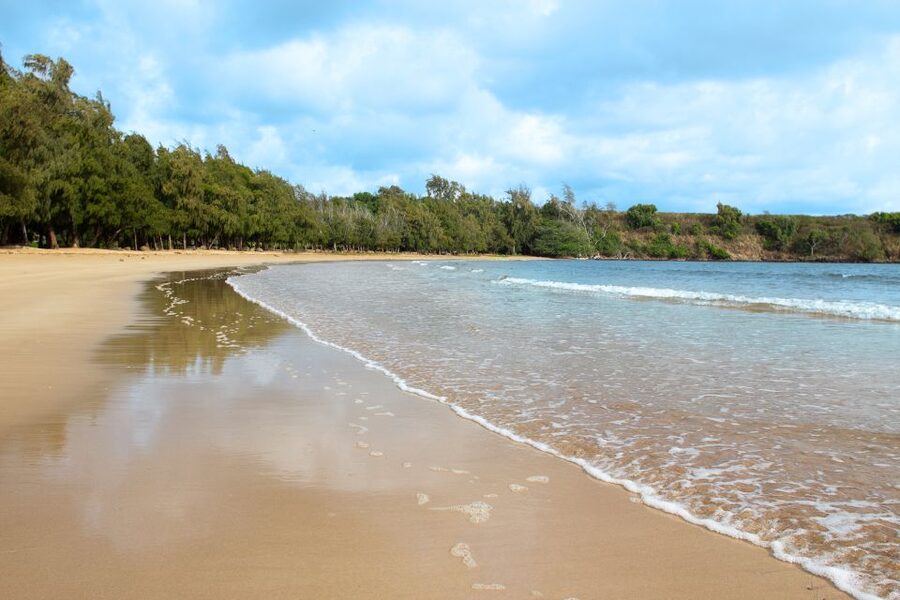 Kauai: Movie Locations Tour - Why this movie tour is also a good first look at Kauai