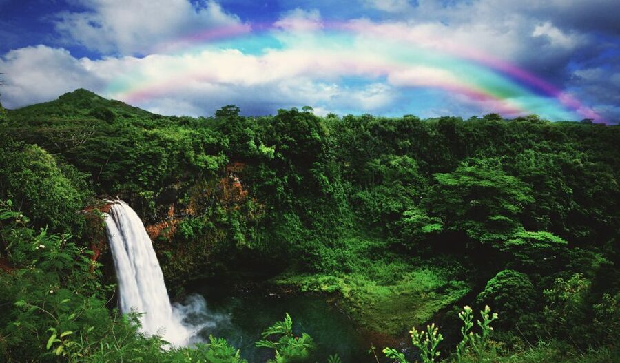 Kauai: Movie Locations Tour - Jurassic Park locations and the power of familiar scenery