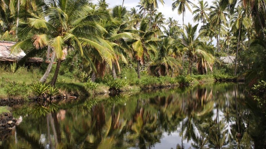 Kauai: Movie Locations Tour - Pirates of the Caribbean and the island as a working set