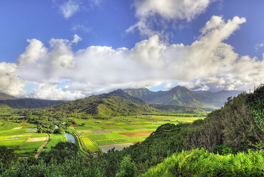 Kauai: Movie Locations Tour - Blue Hawaii, Six Days, Seven Nights, and Tropic Thunder