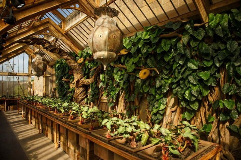 London: Harry Potter™ Studio Tour London & 4-Star Hotel Stay - Forbidden Forest and Gringotts Bank