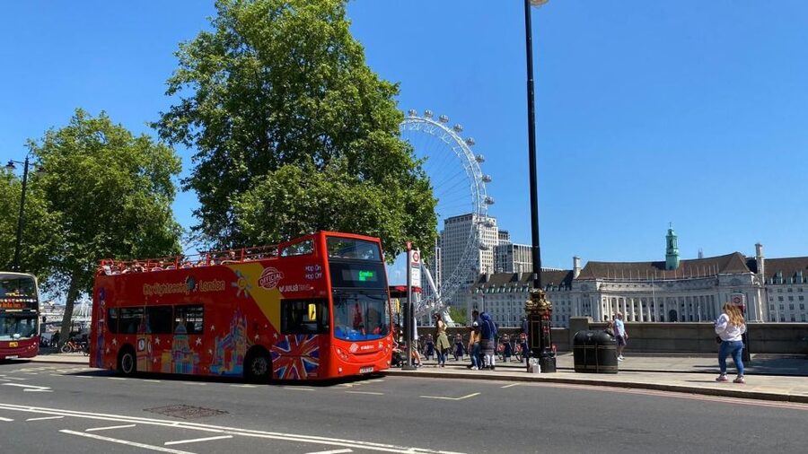 London: Harry Potter Walk, Hop-on Hop-off Bus Tour & Cruise - Who will enjoy this London combination