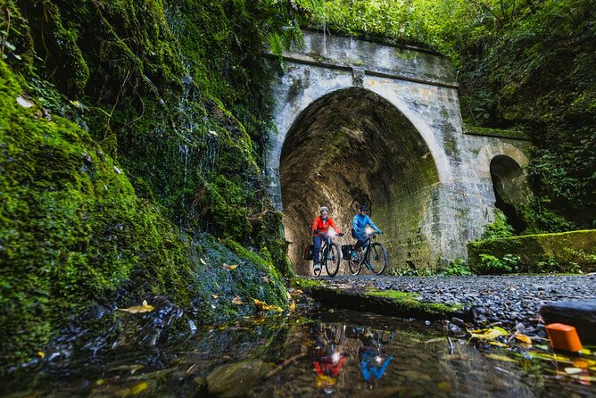 Lord of The Rings Full Day locations tour incl Weta & keepsake - Oriental Bay and the change of pace