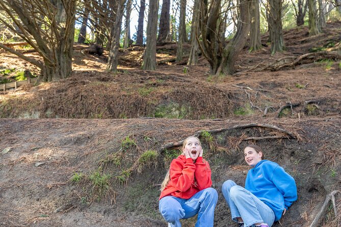 Lord of The Rings Full Day locations tour incl Weta & keepsake - Dry Creek Quarry and Poet’s Park