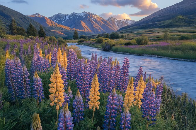 Lord of the Rings Scenic Half Day Tour from Queenstown - Mt. Aspiring National Park provides the special access