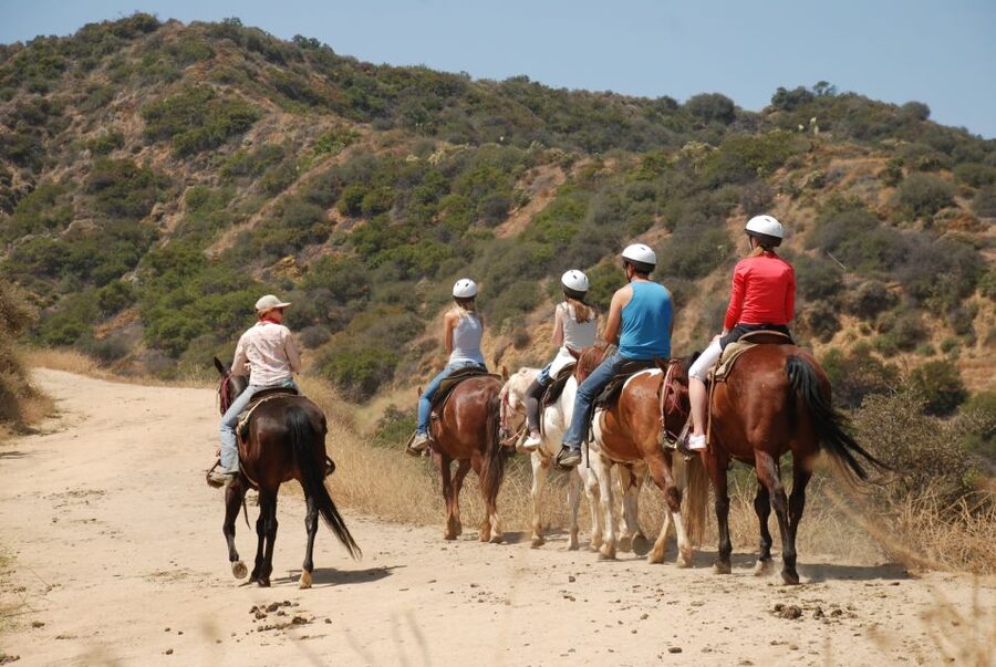 Los Angeles: 2-Hour Hollywood Trail Horseback Riding Tour - Key points to know before you book
