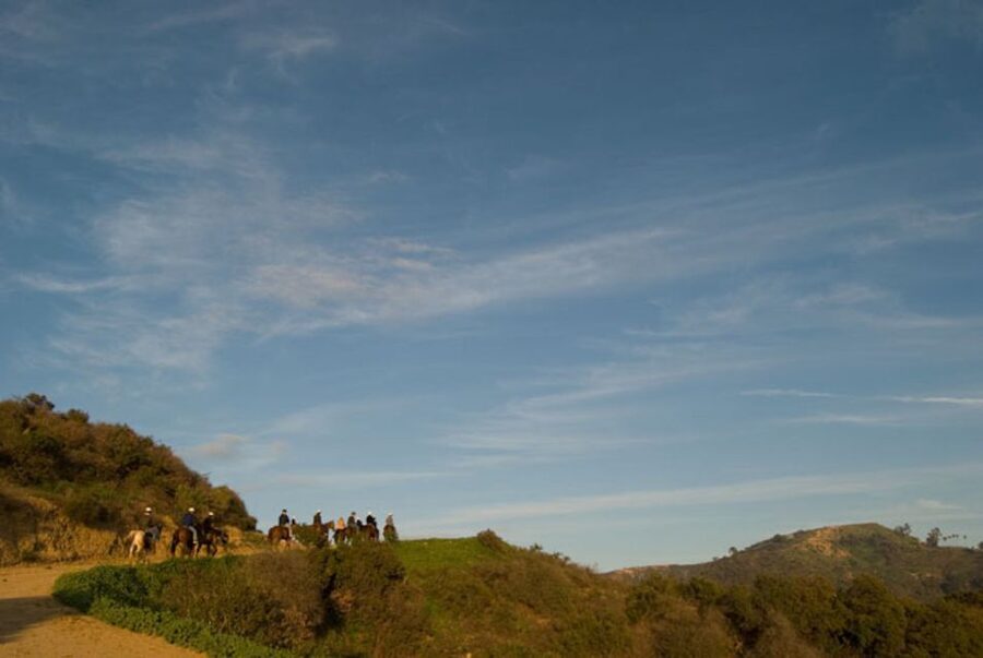 Los Angeles: 2-Hour Hollywood Trail Horseback Riding Tour - Riding into the Griffith Park hills