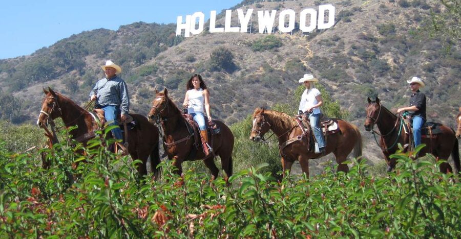 Los Angeles: 2-Hour Hollywood Trail Horseback Riding Tour - The views: Hollywood sign, observatory, and downtown