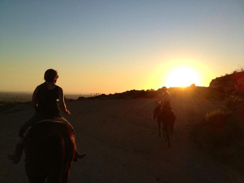Los Angeles: 2-Hour Hollywood Trail Horseback Riding Tour - Why the two-hour ride is worth considering