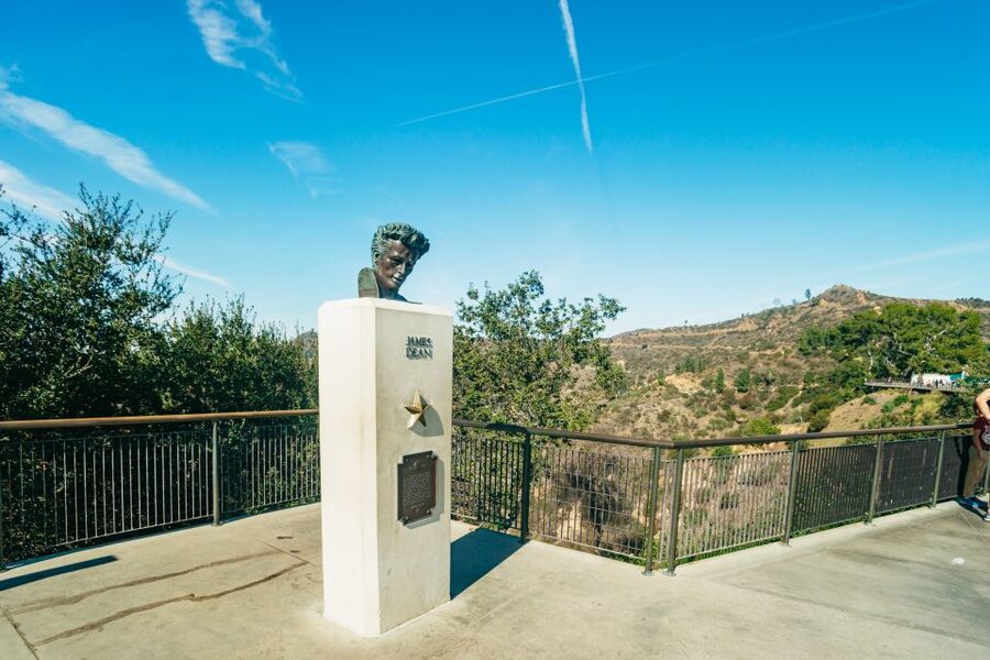Los Angeles: City Group Tour with Hollywood & Beverly Hills - The van, group size, and guide quality