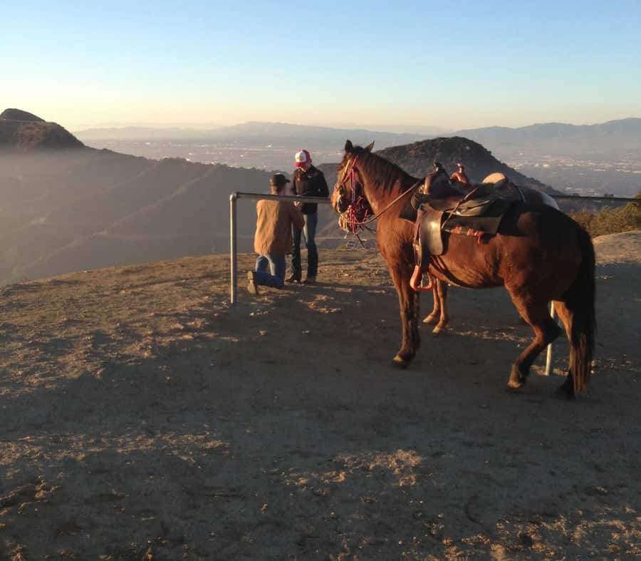 Los Angeles: Evening 2-Hour Hollywood Horseback Riding Tour - Starting above Hollywood at Sunset Ranch