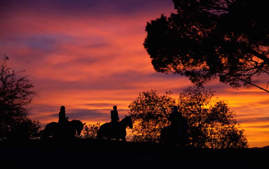 Los Angeles: Evening 2-Hour Hollywood Horseback Riding Tour - Following the Griffith Park hills for two hours