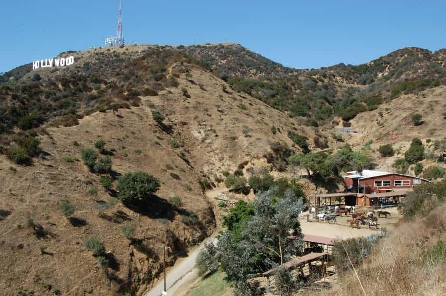 Los Angeles: Evening 2-Hour Hollywood Horseback Riding Tour - Getting comfortable with the horse and helmet