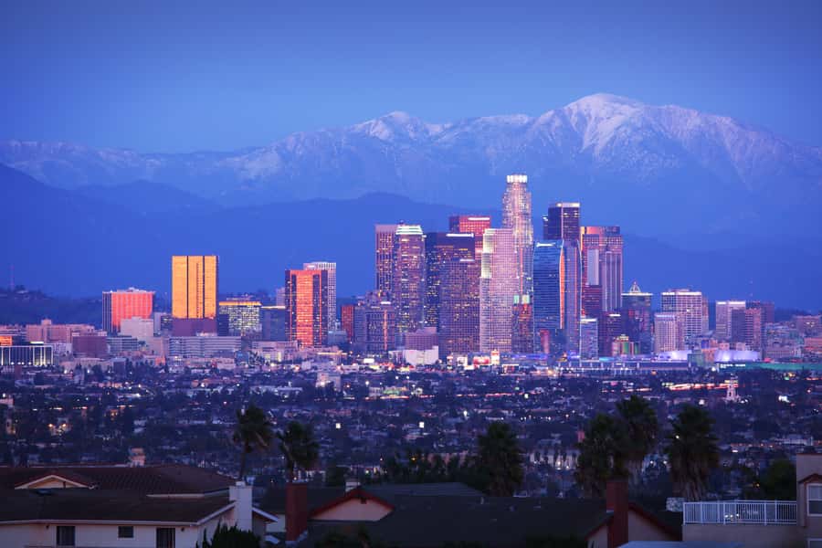 Los Angeles, Hollywood, & Beverly Hills Afternoon City Tour - Practical details that affect your choice