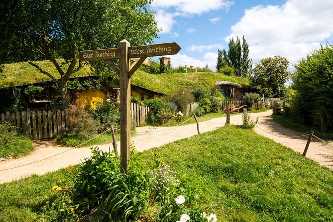 Luxury Small group tour from Auckland to Hobbiton Movie Set - Key details before you book