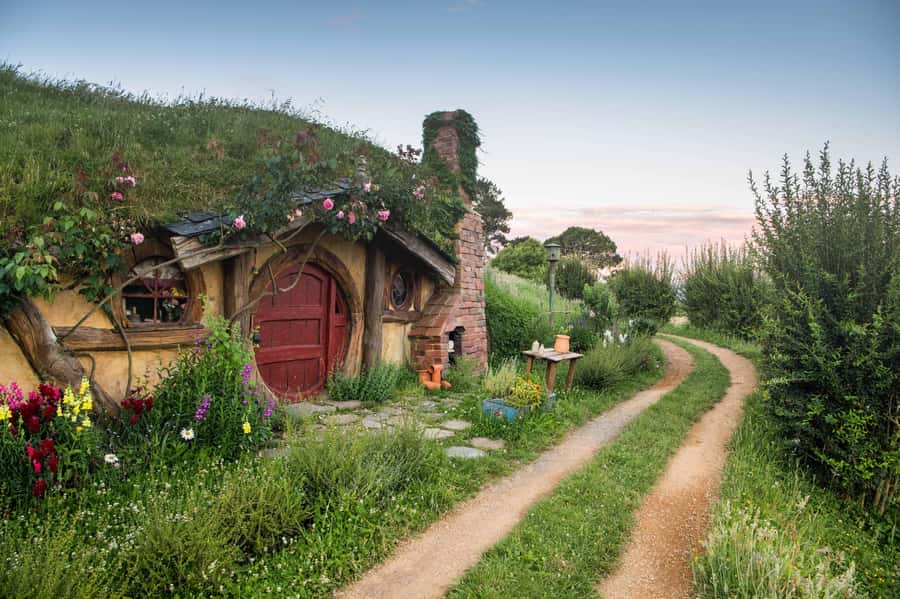 Magical Hobbiton: Small-Group Guided Tour from Auckland - My verdict: a polished full-day choice from Auckland