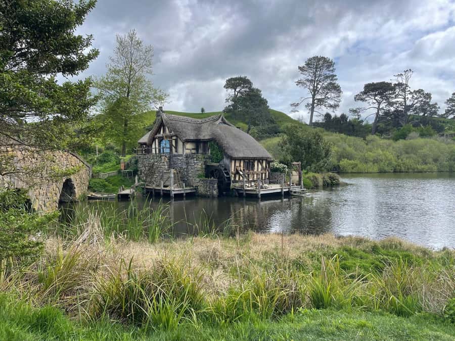 Magical Hobbiton & Waitomo Caves Small Group from Auckland - Waitomo Glowworm Caves by boat