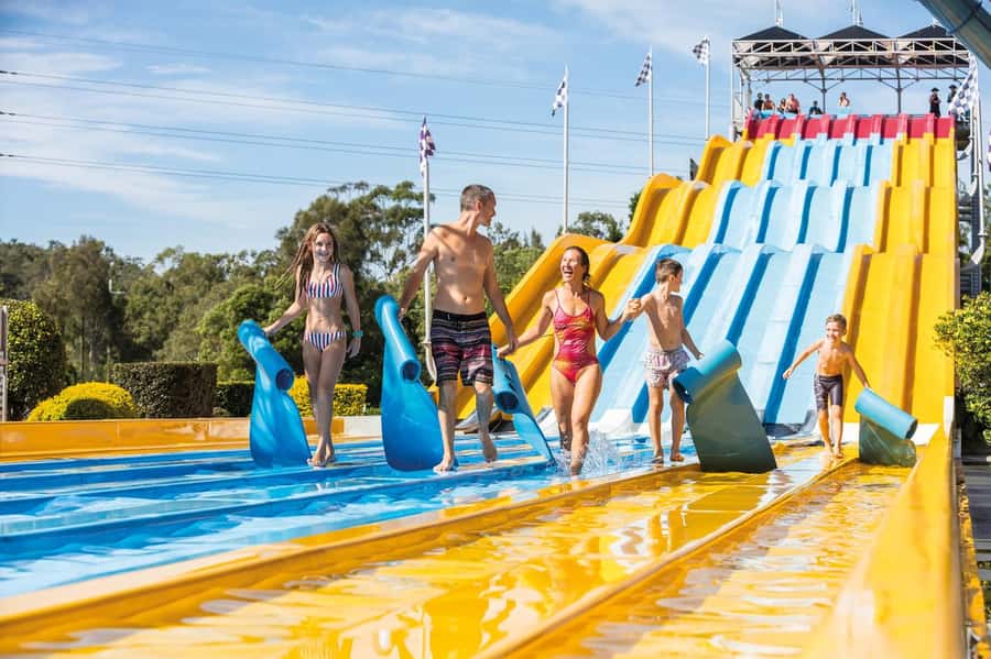 Movie World, Sea World, Wet’n’Wild & More - 5 Day Pass - Sea World combines animals, shows, and family rides