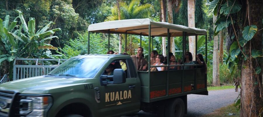 Oahu: Kualoa Jurassic Movie Set Adventure Tour - Arrival time, identification, and weather planning