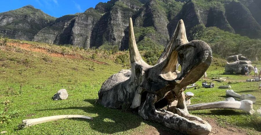 Oahu: Kualoa Movie Sites, Jungle, and Buffet Tour Package - Key points to know before booking