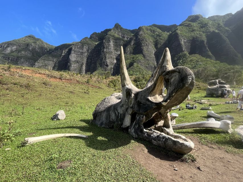 Oahu: Kualoa Movie Sites, Jungle, and Buffet Tour Package - Three sides of Kualoa Ranch in one day