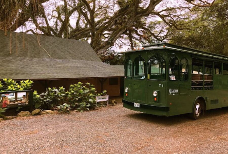 Oahu: Kualoa Movie Sites, Jungle, and Buffet Tour Package - Timing, pickup, and check-in details