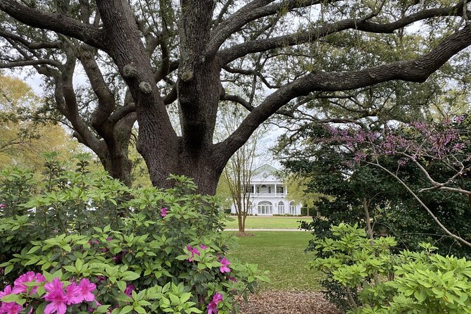 Outer Banks Film Locations Tour - Who should pay the $225 price