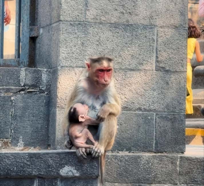 Private Bollywood Studio Tour with Elephanta Caves tour - Timing, comfort, and practical limits
