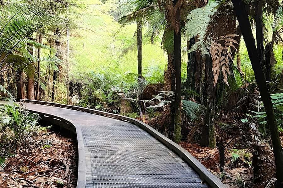 Private Hobbiton & BlueSprings & Redwood forest fromAuckland - Should you book it?