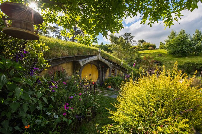 Private Hobbiton Movie Set & Waitomo Caves in a Day from Auckland - Key points at a glance