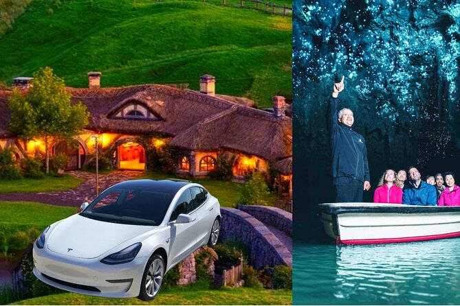 Private Hobbiton & Waitomo Caves Transfer from Auckland - Key points at a glance
