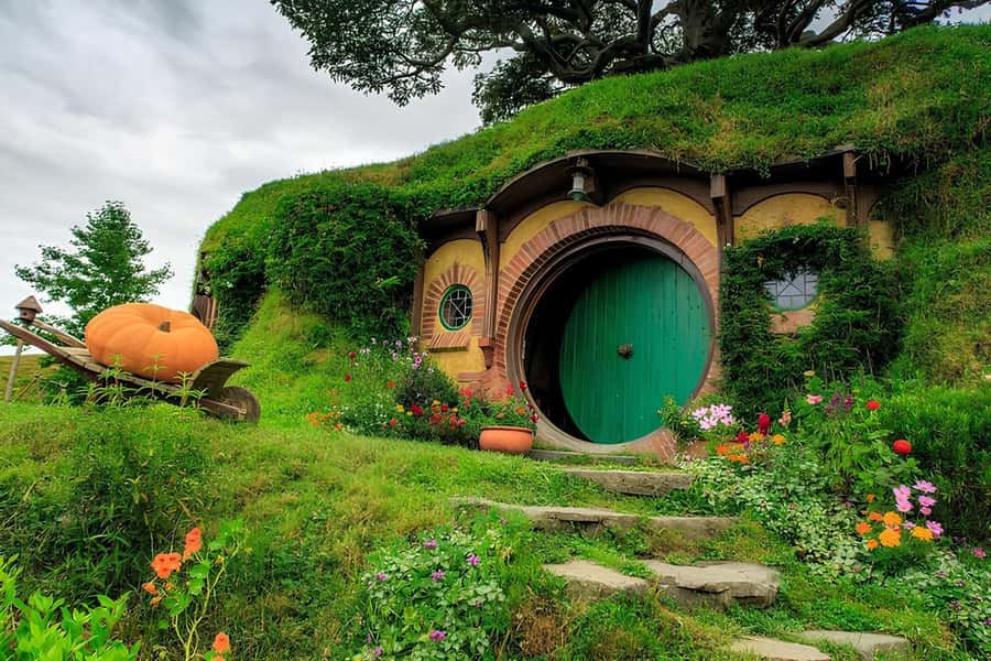 Private Hobbiton & Waitomo glowworm cave Day Trip - Key points at a glance