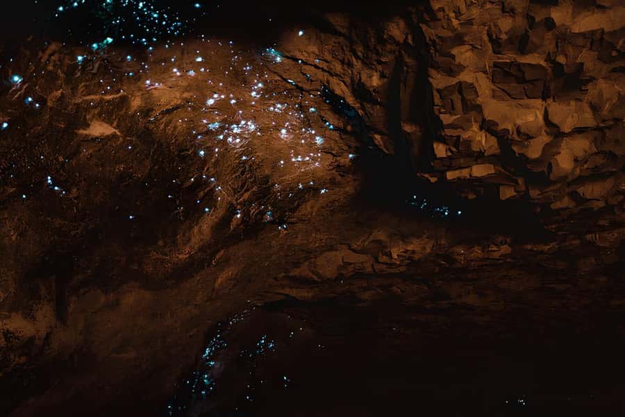 Private Hobbiton & Waitomo glowworm cave Day Trip - Is $585 per person a fair price?