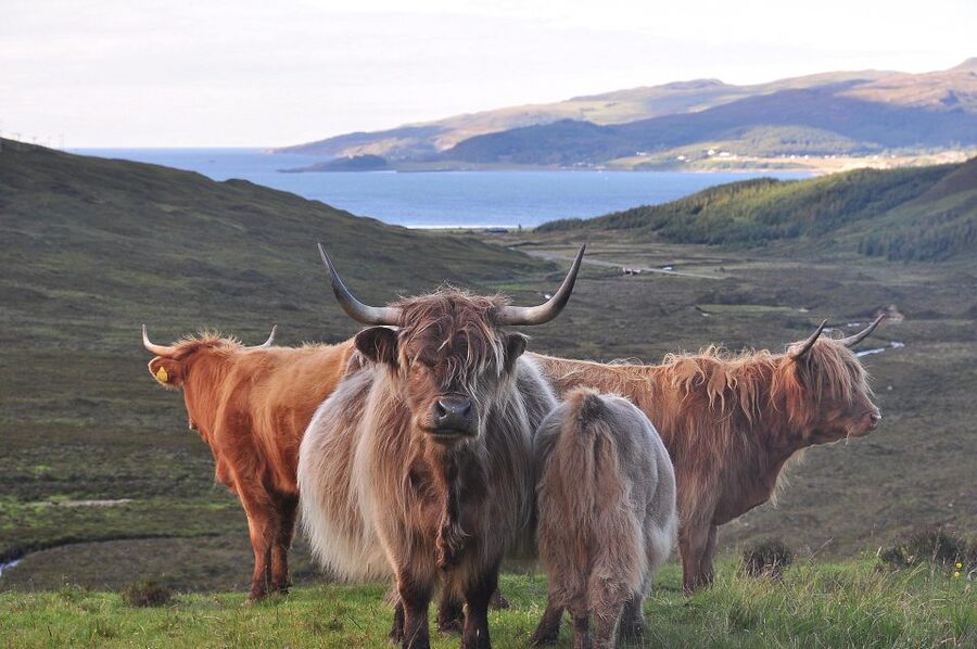 Private Outlander Tour for Small Groups - Following Jamie and Claire across central Scotland