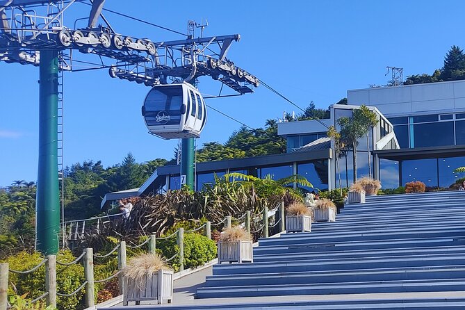 Private Tour: Hobbiton Movie Set, Rotorua Mud Pool & Treewalk - Who will get the most from this tour?