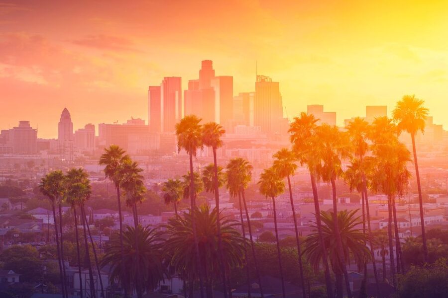 Private Tour Hollywood Beverly Hills Santa Monica Venice - Griffith Observatory and the city view